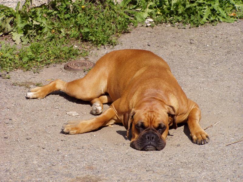 Foto: Naše Baruška