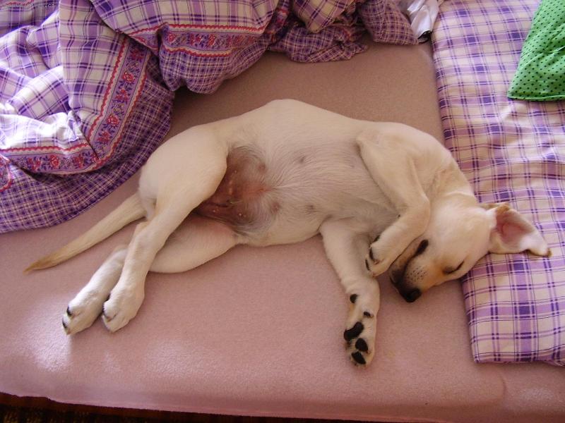 Foto: Odpolední siesta