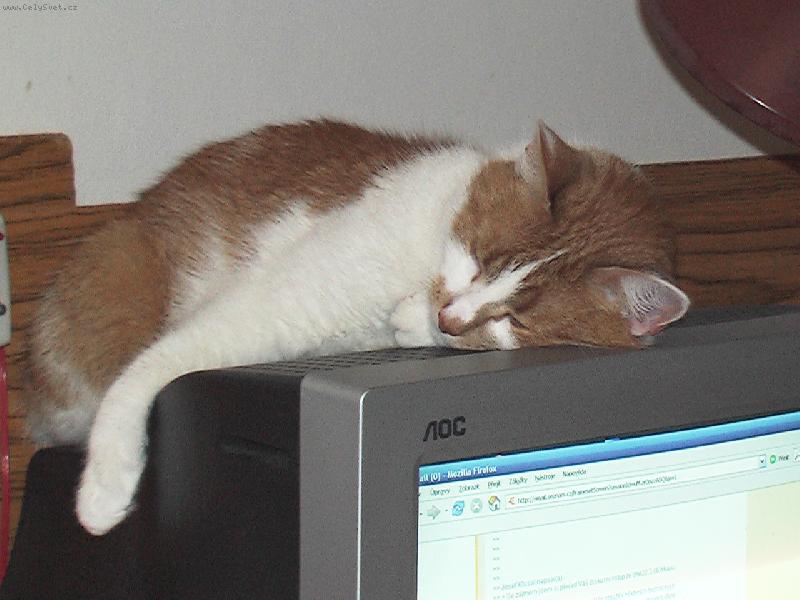 Foto: Unaven� po serfov�n�.-Obl�ben� m�sto.