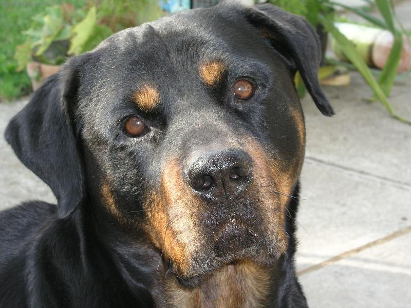 Foto: "brutální" Nikita