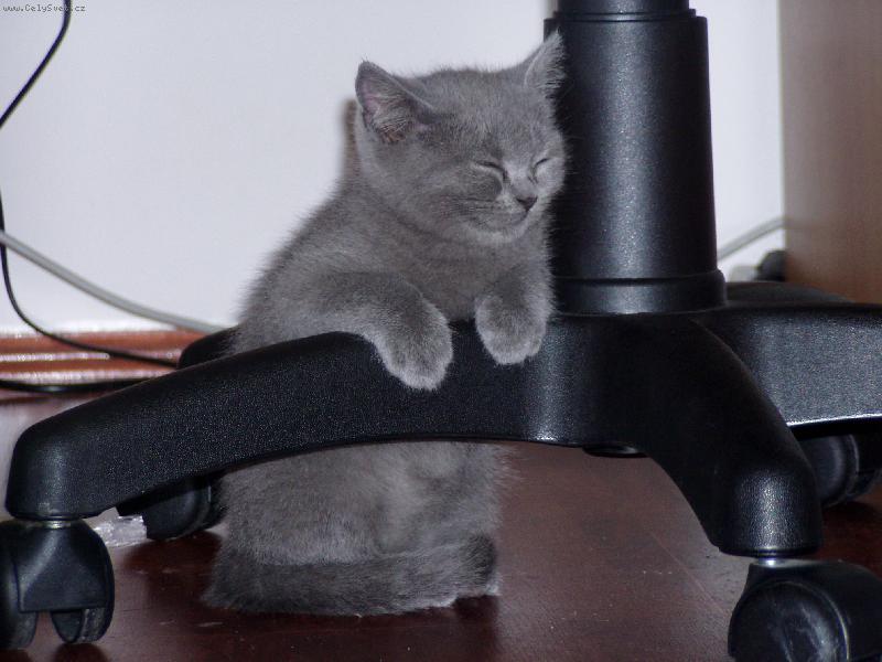 Foto: usnou se dá jakkoliv