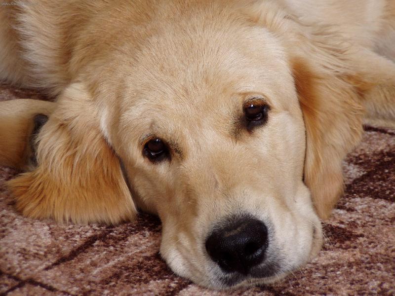 Foto: "Tak už to prosím zmáčkni"