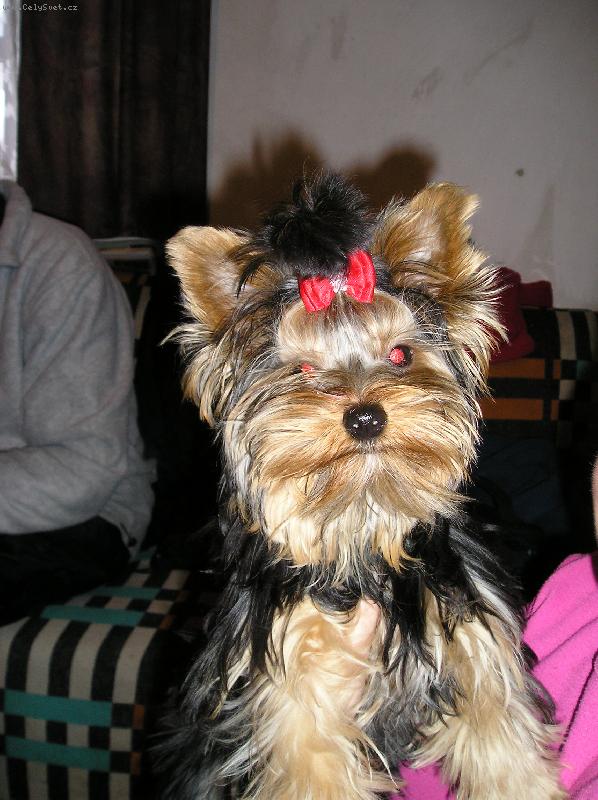 Foto: Sendy-Na chat�...