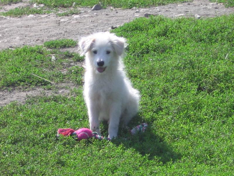 Foto: ...Žolíček...-tady si lebedim na zehradě