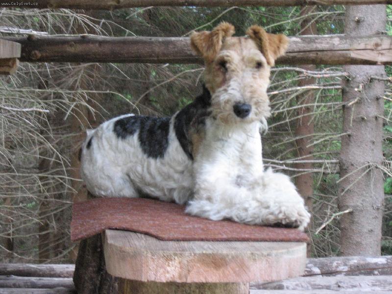 Foto: já-moje sebevědomí