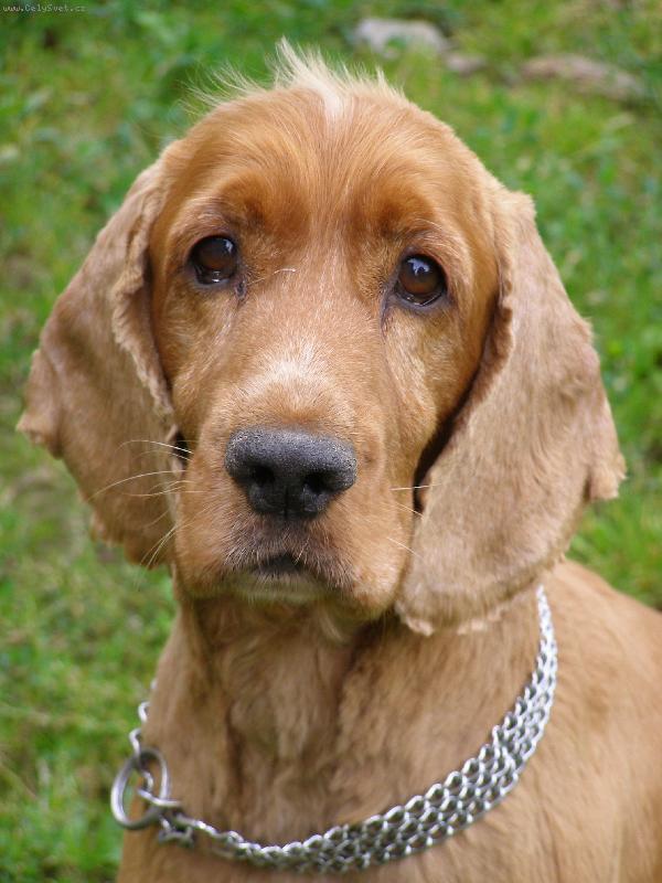 Foto: Rendy,Renoušek-Že mi to tu sluší?