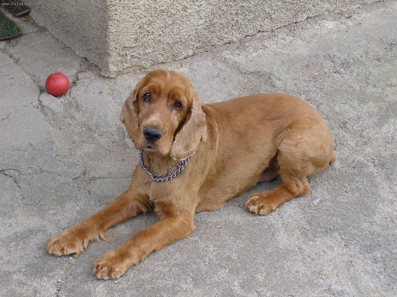 Foto: Rendy,Renoušek-Můj letní sestřih, líbí?