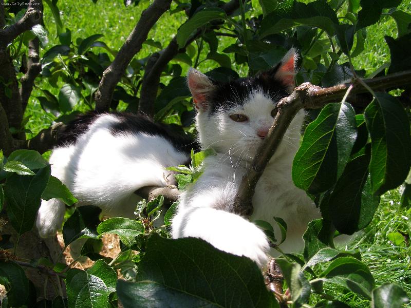 Foto: Agátka-To je výška!!