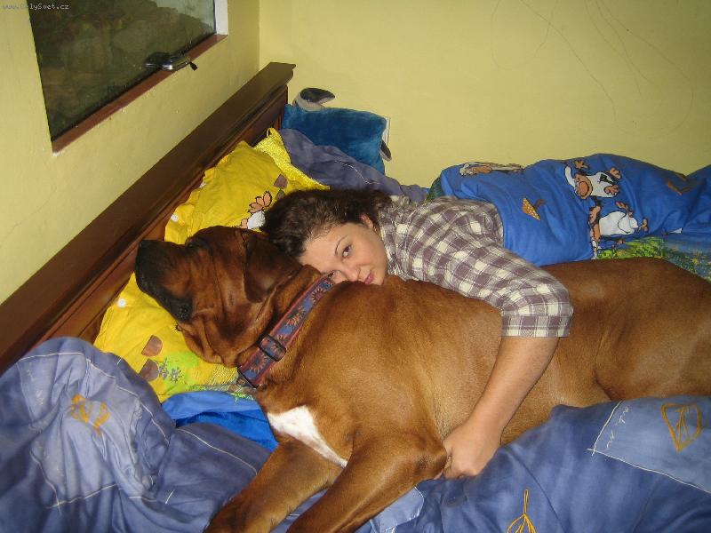 Foto: Nejlepší mazlík-pejsek se jmenuje Akagi