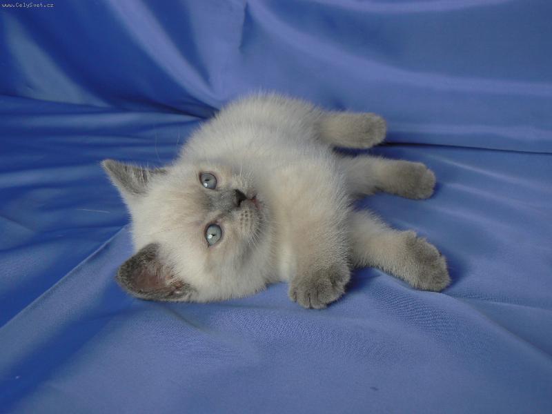 Foto: Dixie Dajeka.cz-Ještě jedna z focení