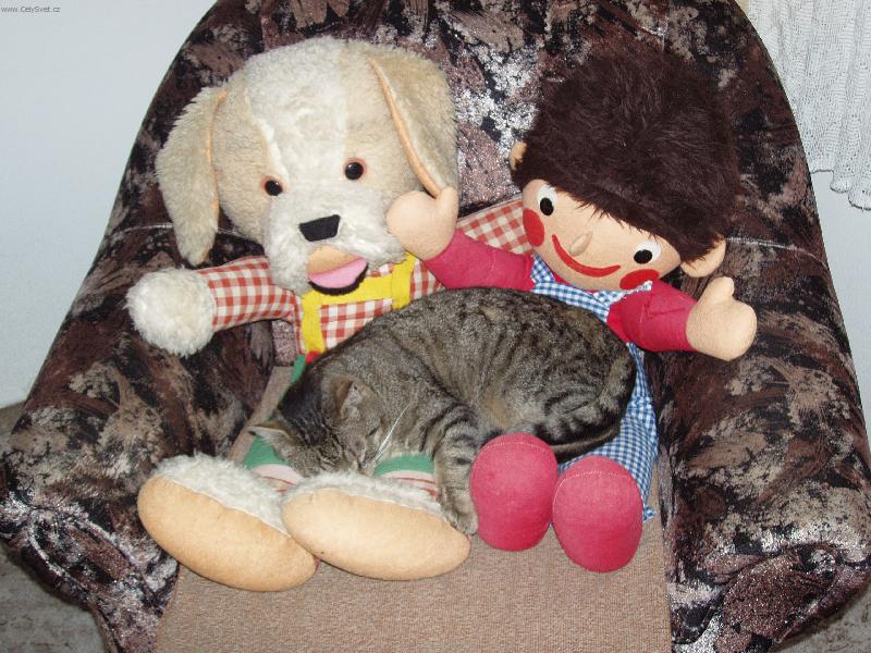 Foto: kamarádi-maskování Mourečka