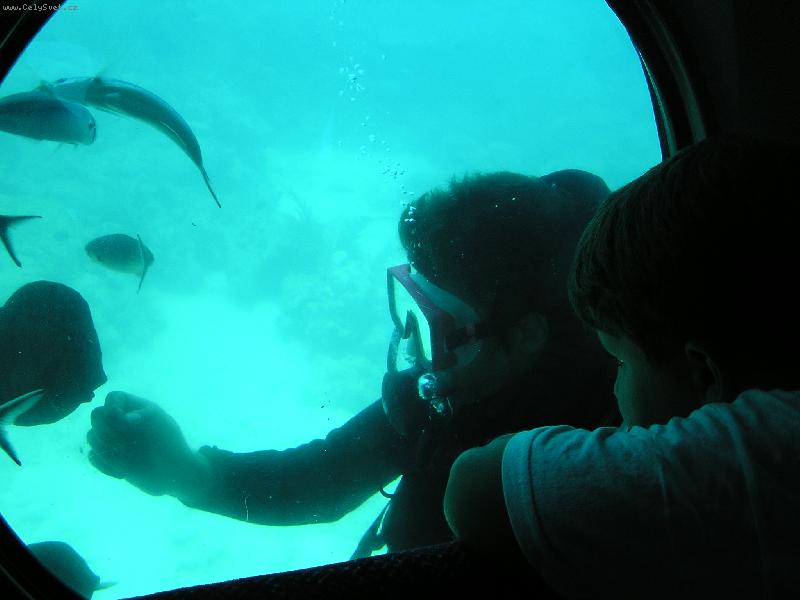 Foto: Kuba v ponorce a potápěč