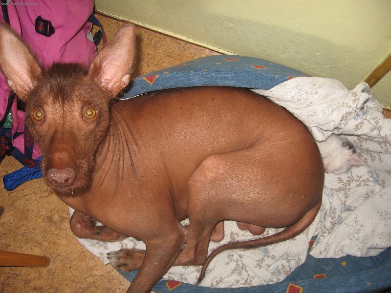 Foto: Jedík a Pampalínek-Najděte PAMPALÍNKA!!!!!