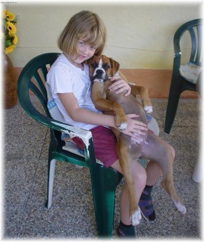 Foto: Toto je havaj.....-Jak si náš pejsek hoví.