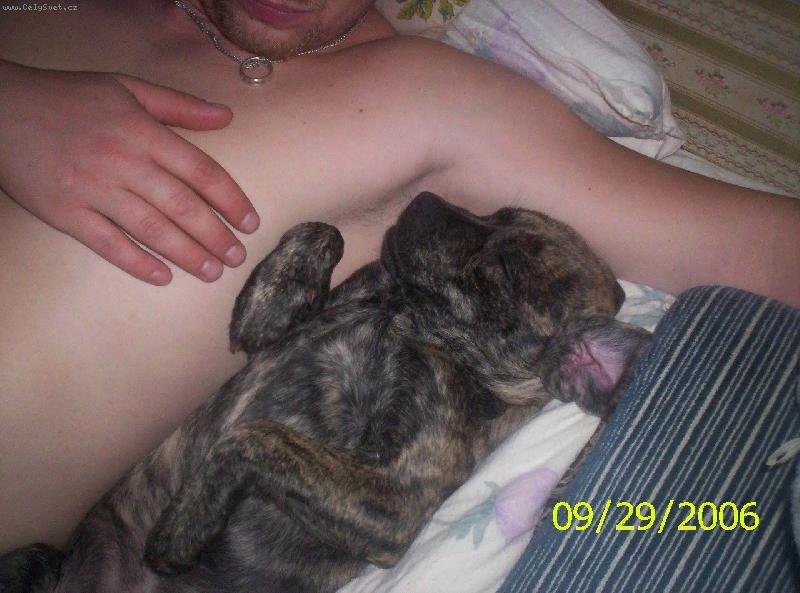 Foto: Úasný odpočinek:-)-takhle spinká Oskárek s páníčkem:-)