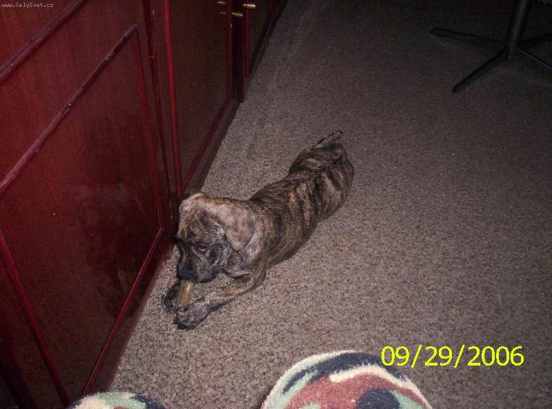 Foto: mňamka-koušu všechno a rád:-)