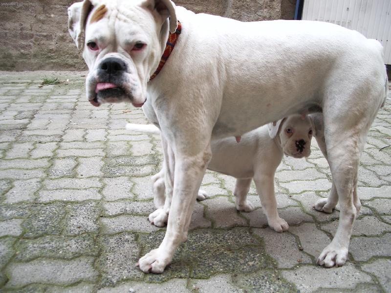 Foto: Dinuščin nový kamarád