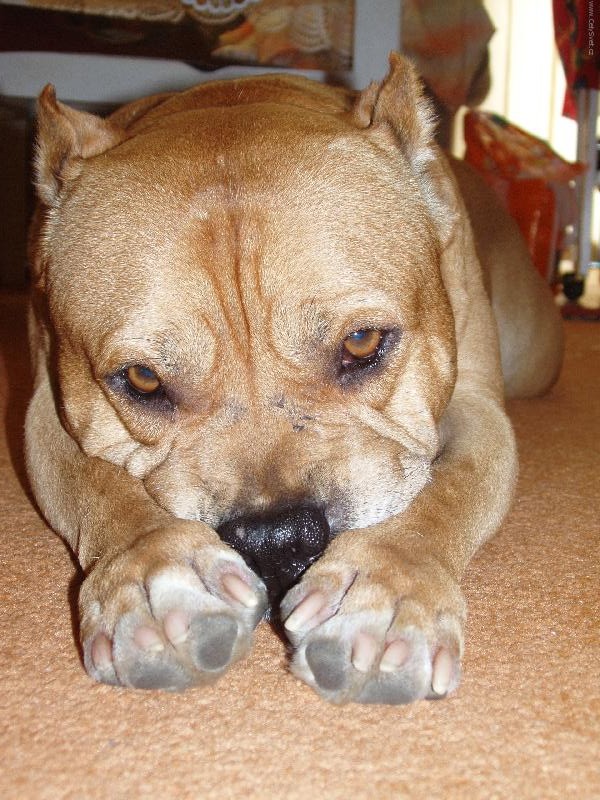 Foto: půjdeš si už se mnou hrát???