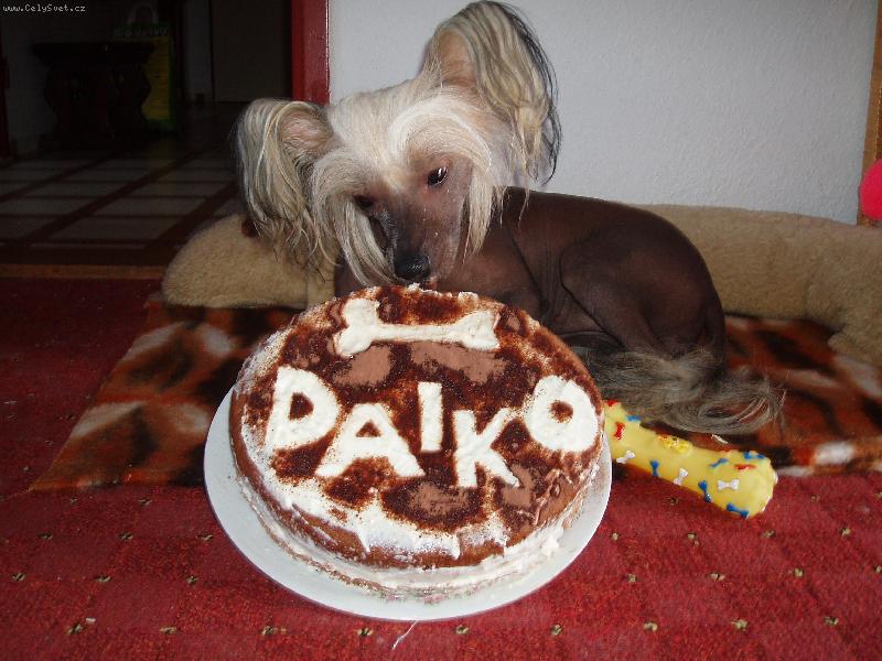 Foto: Miluji tvarohový dort