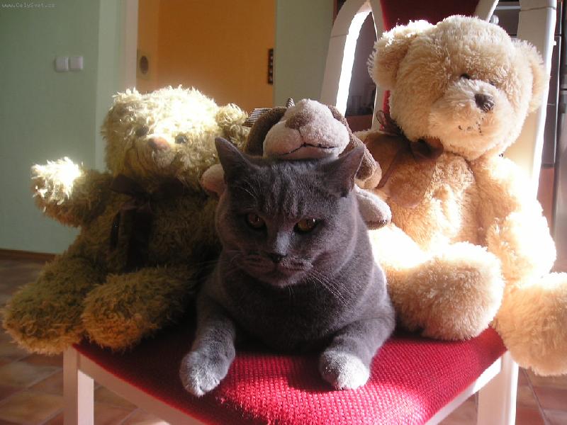 Foto: KvídoušeK-Náše miminko :)