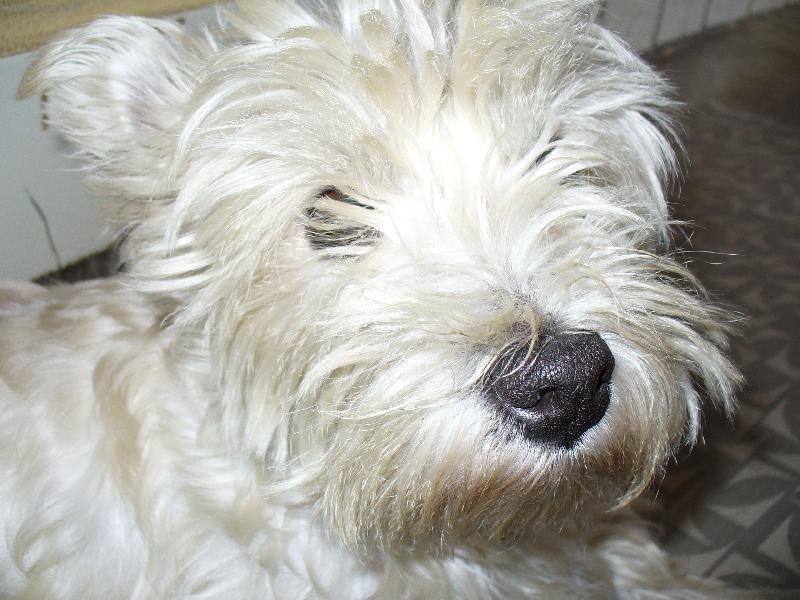 Foto: Bettynka-Naše milá Bettynka