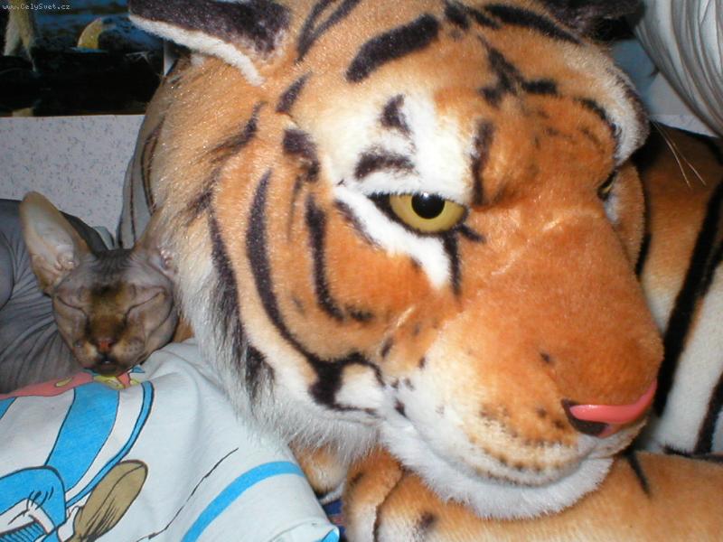 Foto: Můj kamarád-Který z nás je živý??