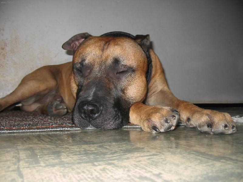 Foto: Montany-Montýsek když spinká