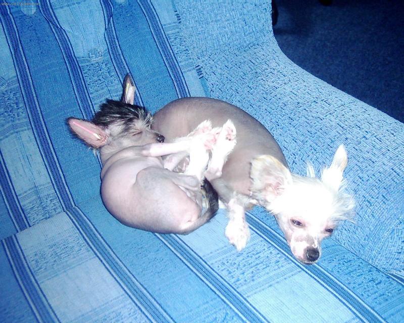 Foto: spokojení život