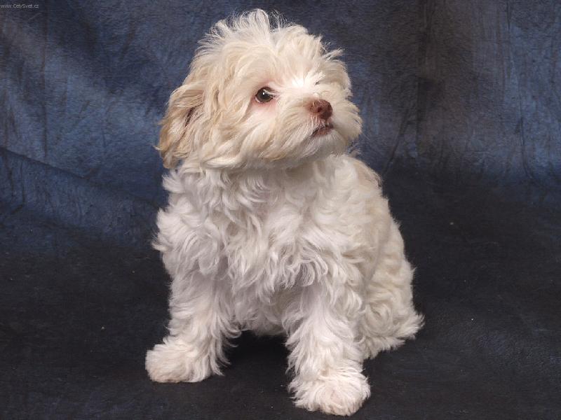 Foto: Bony-Pózování