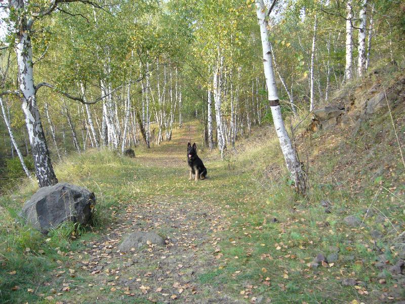 Foto: Rita na výletě-Vinařická horka
