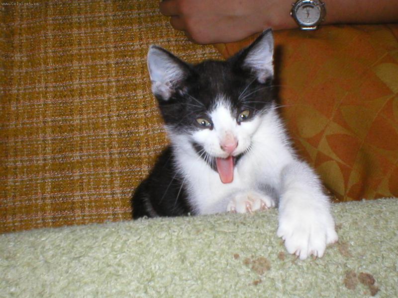 Foto: Já že šilhám????????