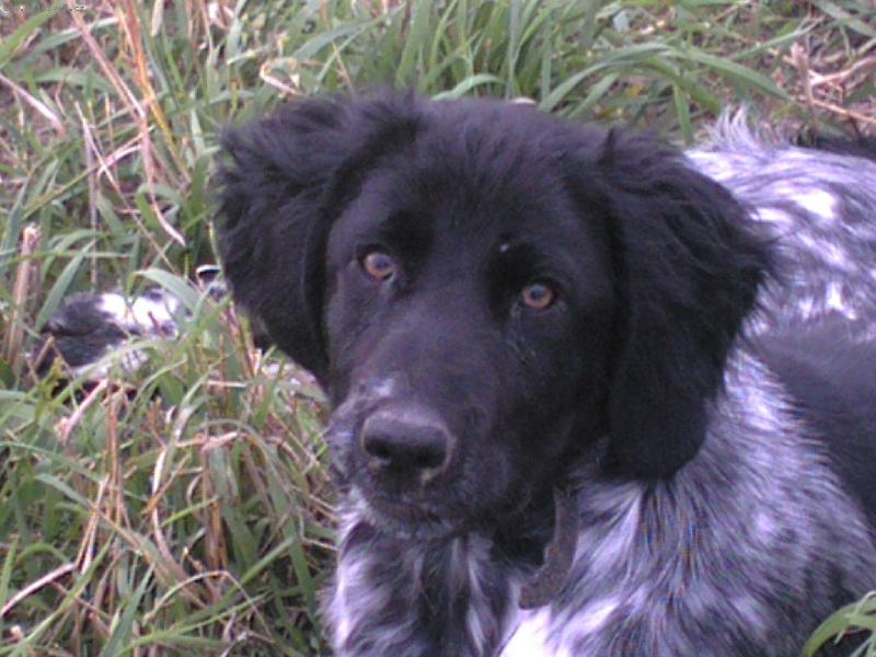 Foto: Nˇouma-Ležící Riko