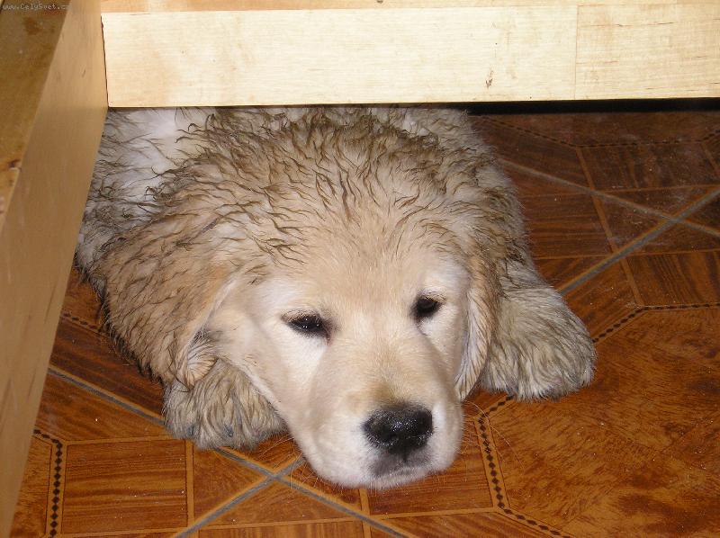 Foto: Dobrou noc . . .-Po pernem dni