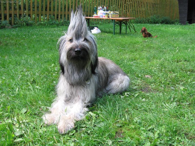 Foto: SENDA de Valdegoscan-A vlasy jí vstávaly hrůzou na hlavě ...