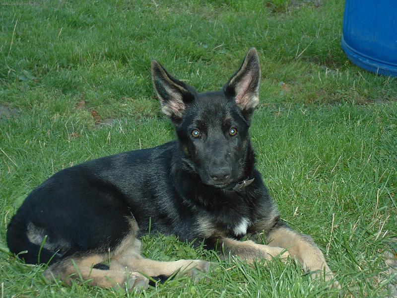 Foto: Ashanty z Borkova mlýna-Mám se usmívat nebo ne?