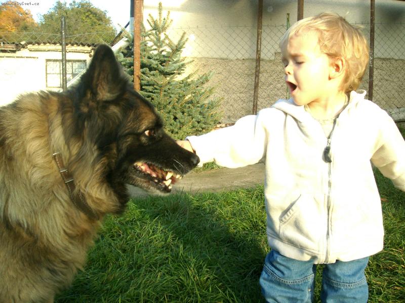 Foto: Kamarádi-Ta kytka co mi dáváš ale fakt není dobrá!