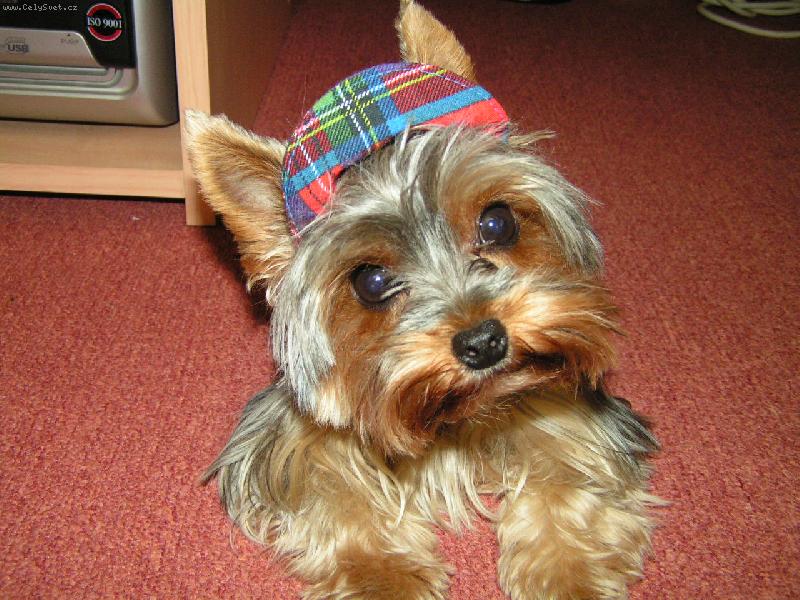 Foto: Jessinka-Kšiltovka mi sluší