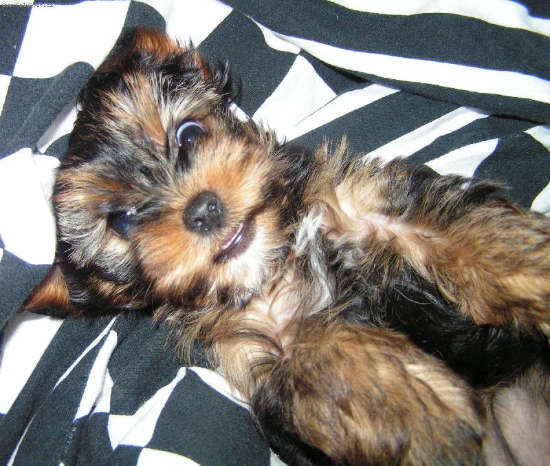 Foto: Jessinka-Já jako mimčo, byla jsem pěkný raubíř!