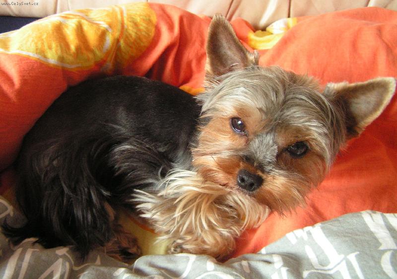 Foto: Jessinka-To mi jde nejlíp