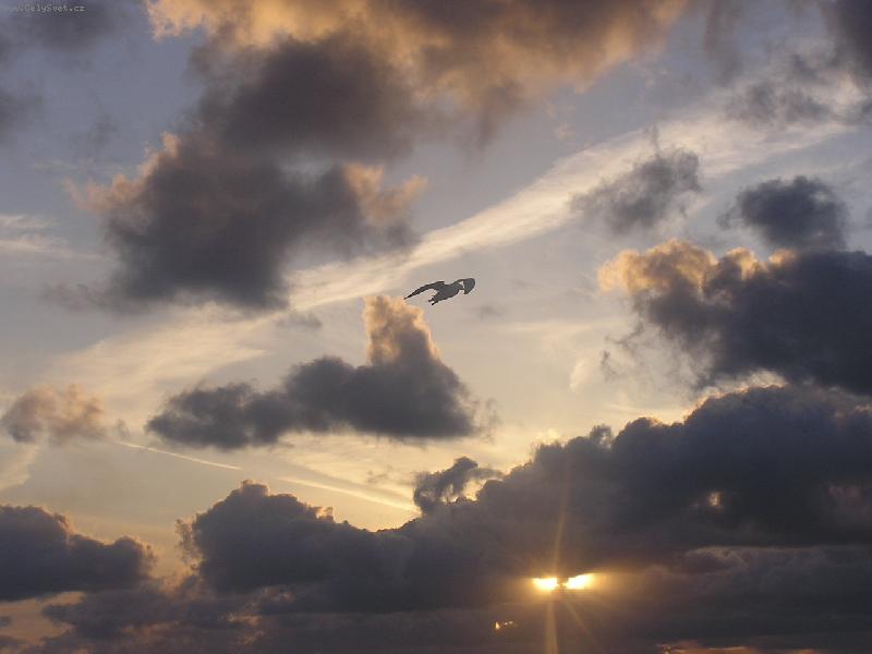 Foto: Obloha u břehů Velké Británie-Olympus C-740 Ultra Zoom