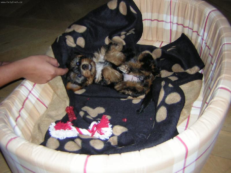 Foto: Zubidlo zlobidlo!-Se ze mě můžete zbláznit,že?