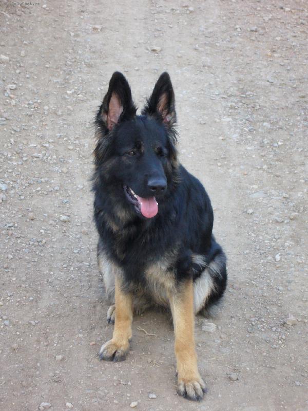 Foto: na cestě-Rita