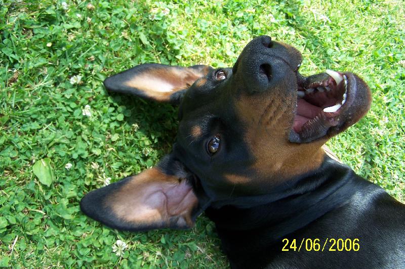 Foto: Corinka-Umím se i zlobit!!!