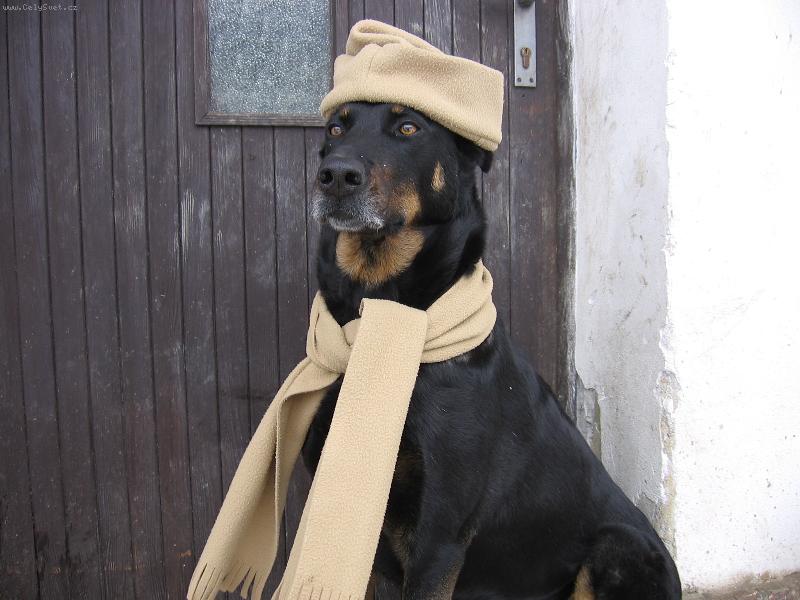 Foto: a zima může přijít