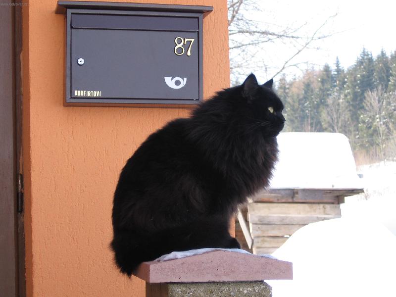 Foto: Matýsek-Jedna z mých posledních