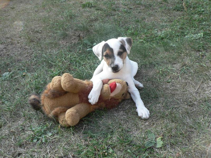 Foto: FATTY HOP TROP-FATTY se svým nejlepším kamarádem