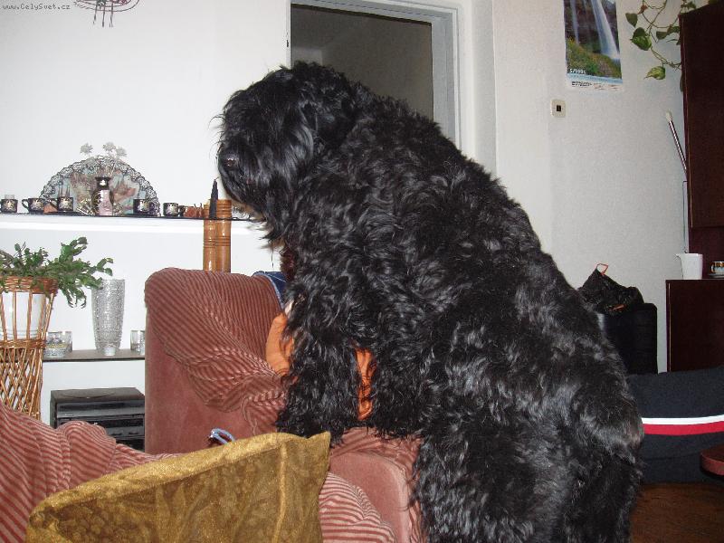 Foto: Já chci na klín, paničko.