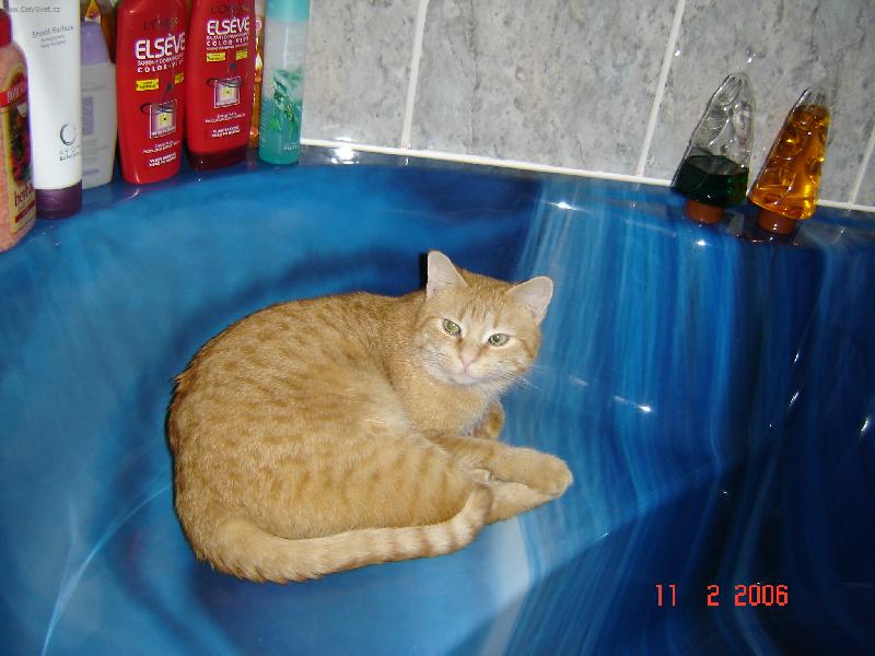 Foto: tak co bude stou vodou?-dnes asi nepoteče