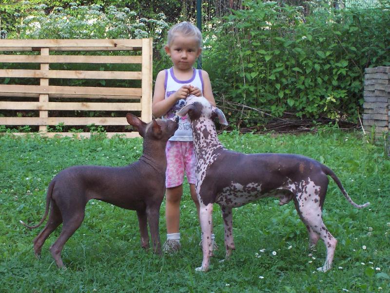 Foto: Lucinka a kamarádi-Hmm,asi vám ten piškotek rozdělím..