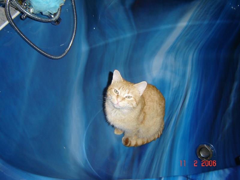 Foto: chci se vykoupat prosím........